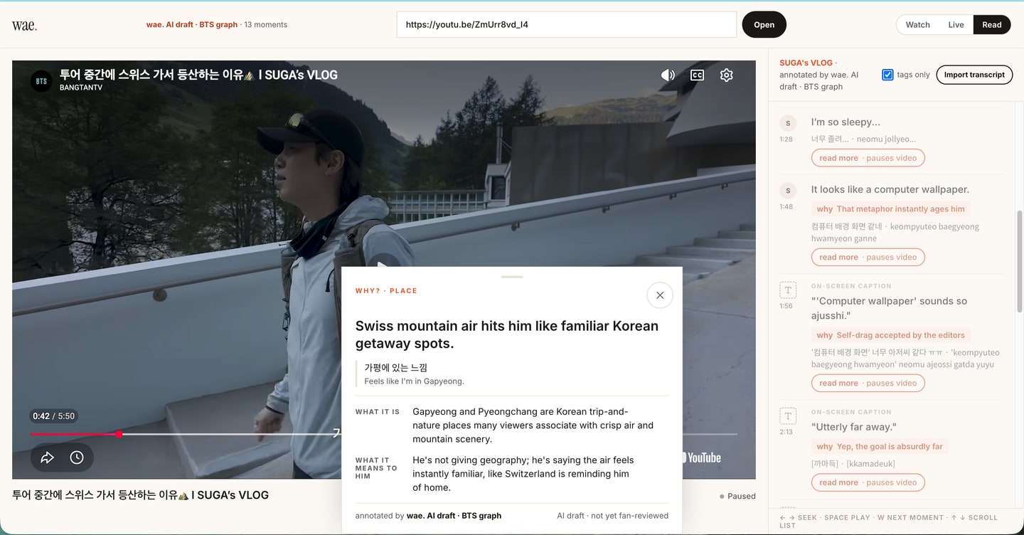 Screenshot of wae. explaining a Korean cultural reference beside a YouTube vlog